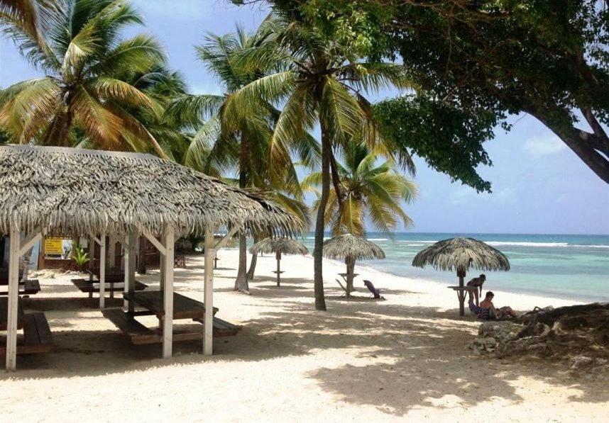 Le Ti'Paradise Anse Des Rochers Belle-Allée Esterno foto