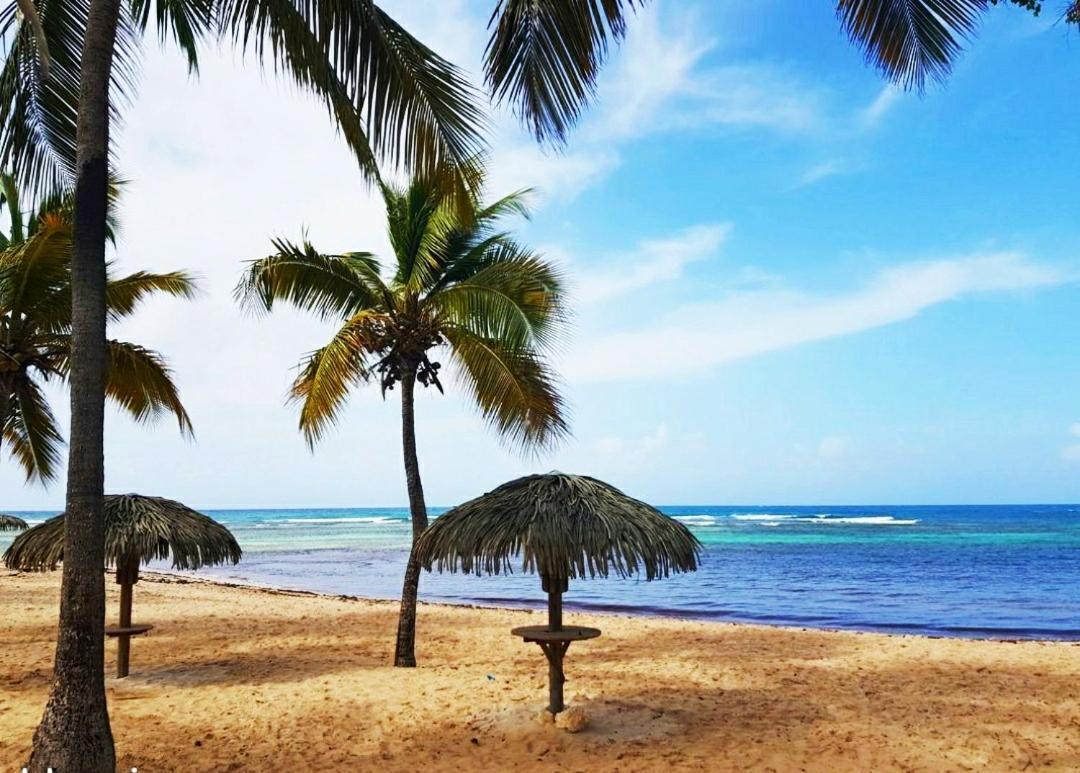 Le Ti'Paradise Anse Des Rochers Belle-Allée Esterno foto