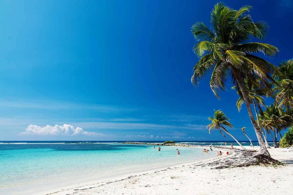 Le Ti'Paradise Anse Des Rochers Belle-Allée Esterno foto
