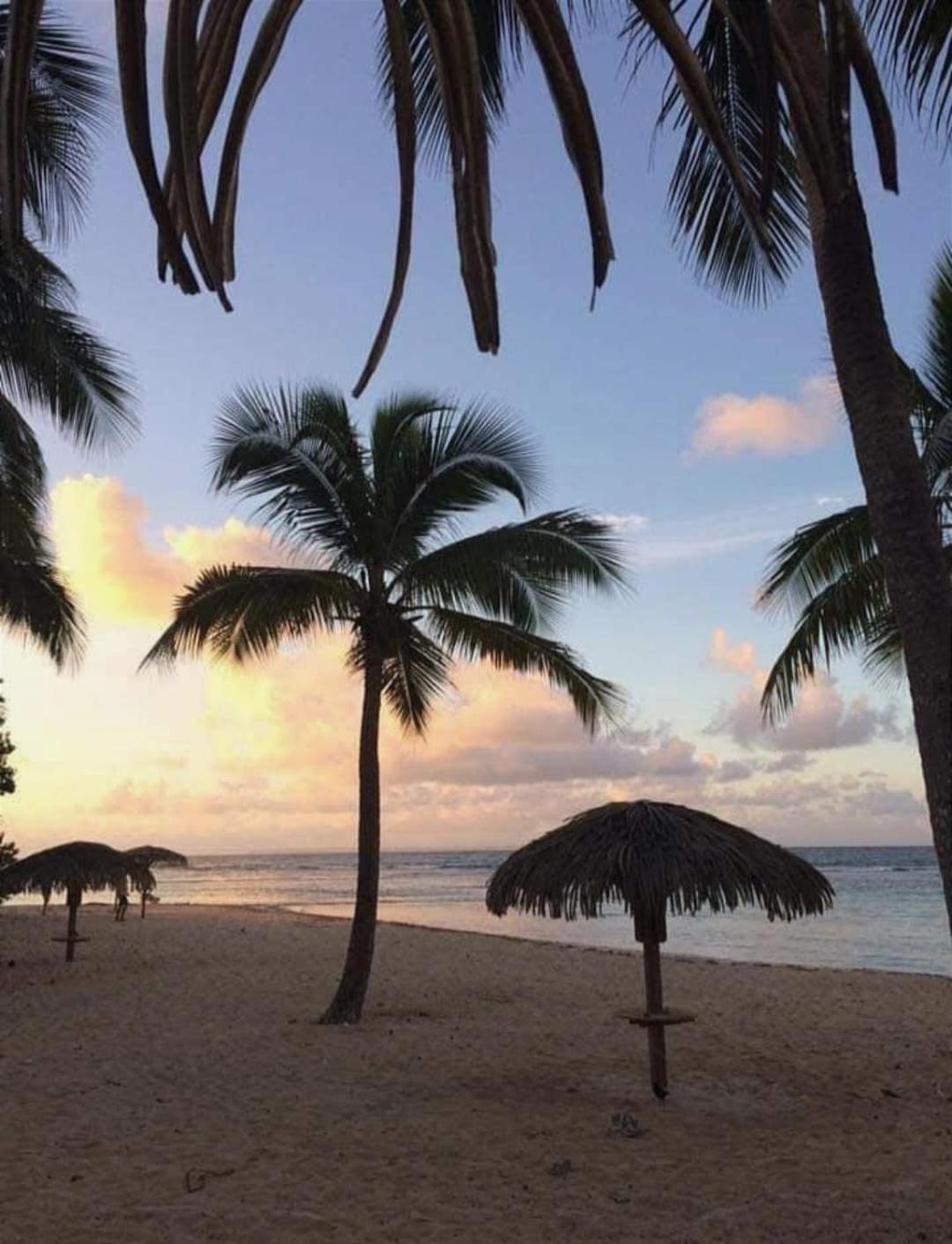 Le Ti'Paradise Anse Des Rochers Belle-Allée Esterno foto